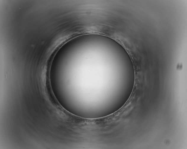 X0000103230194200808281438