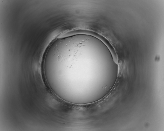 X0000103230195200808281438