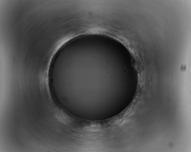 X0000103230196200808281438
