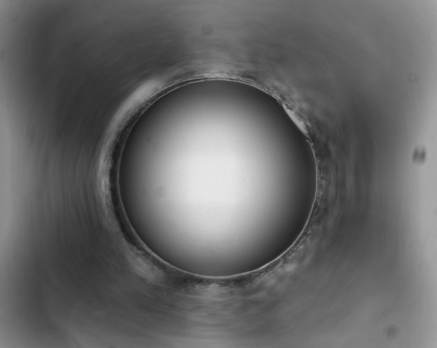 X0000103230197200808281438