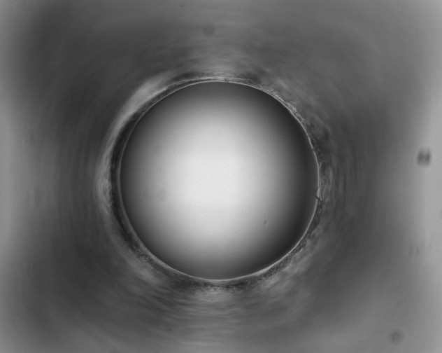 X0000103230198200808281438
