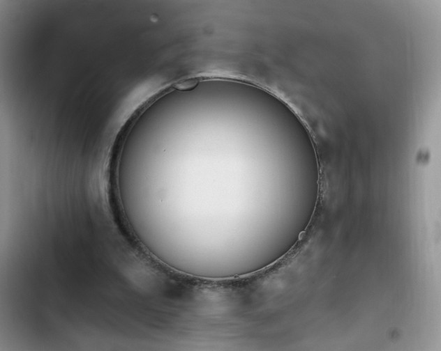 X0000103230199200808281438
