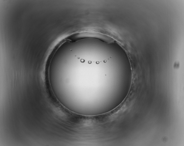 X0000103230200200808281438
