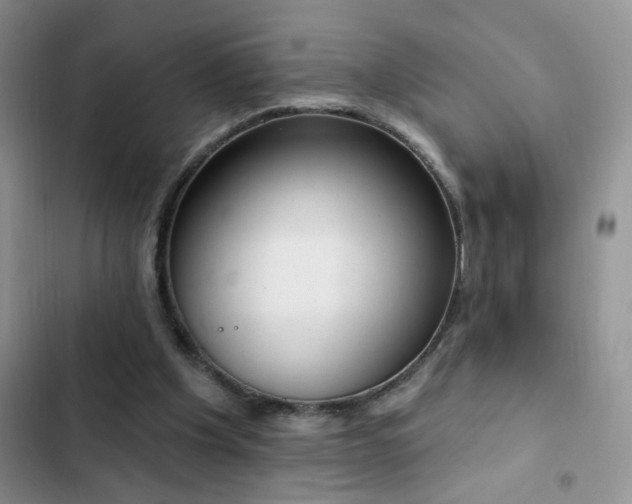 X0000103230201200808281438
