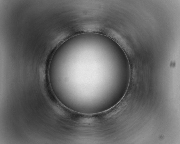 X0000103230202200808281438