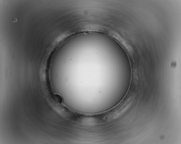 X0000103230203200808281438