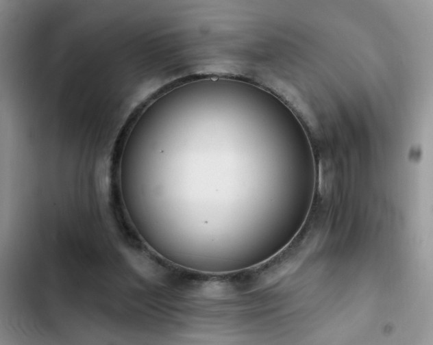 X0000103230204200808281438