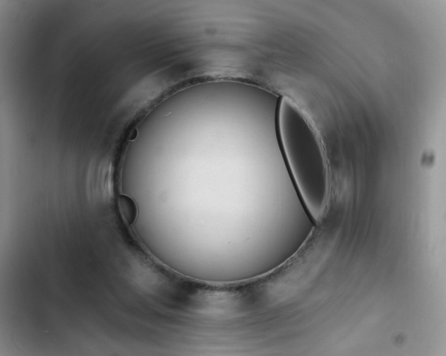 X0000103230205200808281438