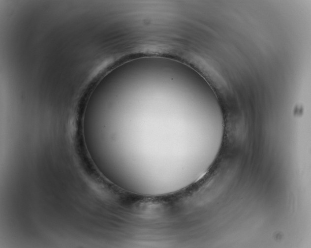 X0000103230208200808281438
