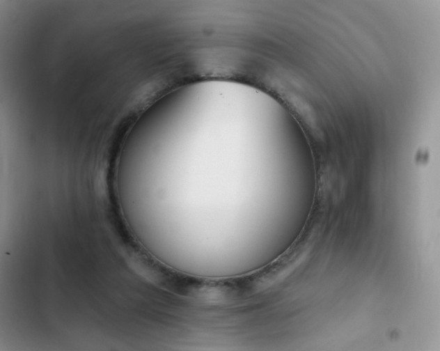 X0000103230209200808281438