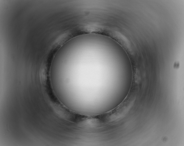 X0000103230210200808281438