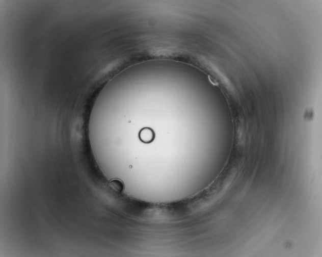 X0000103230211200808281438