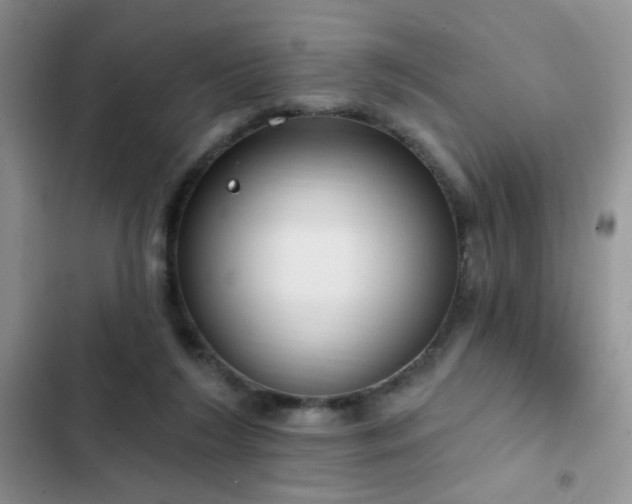 X0000103230212200808281438