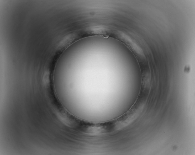 X0000103230213200808281438