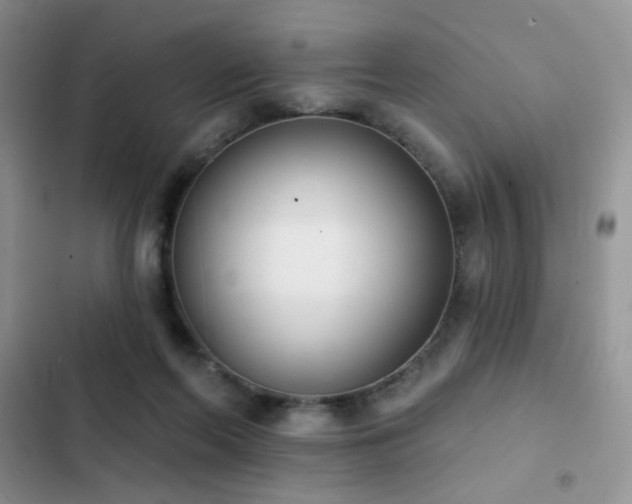 X0000103230214200808281438