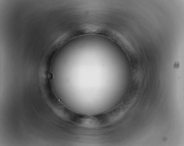 X0000103230215200808281438