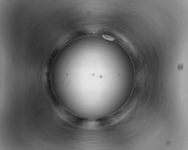 X0000103230217200808281438