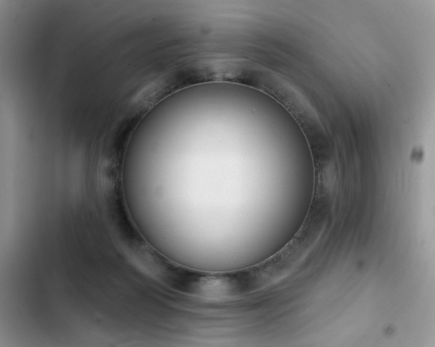 X0000103230218200808281438