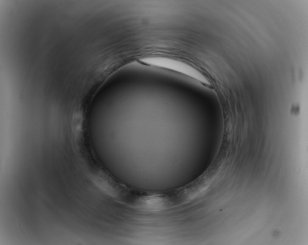 X0000103230219200808281438