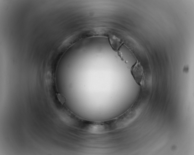 X0000103230220200808281438