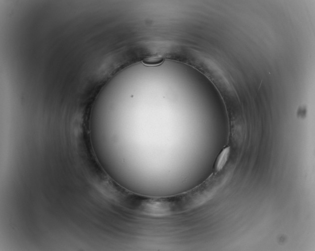 X0000103230221200808281438