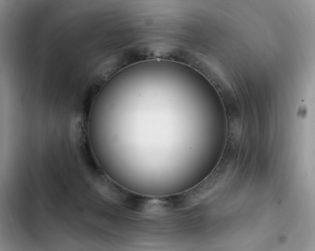 X0000103230222200808281438