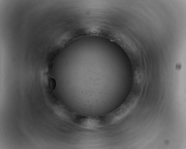X0000103230223200808281438