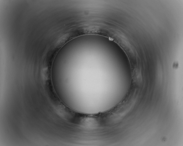 X0000103230224200808281438