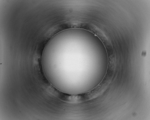 X0000103230225200808281438
