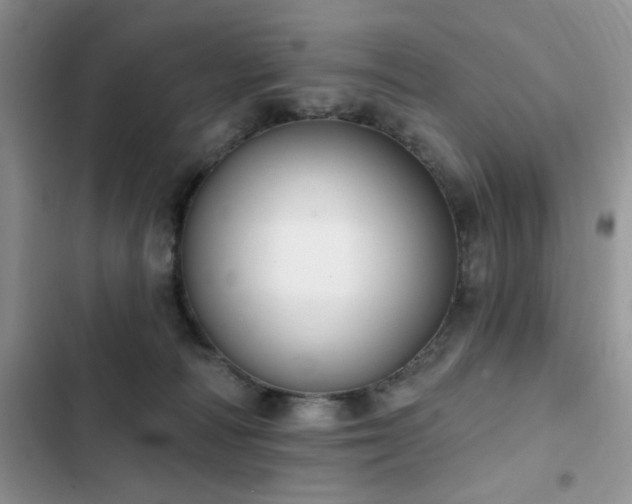 X0000103230226200808281438