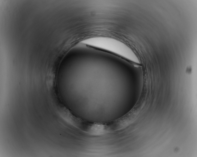 X0000103230227200808281438