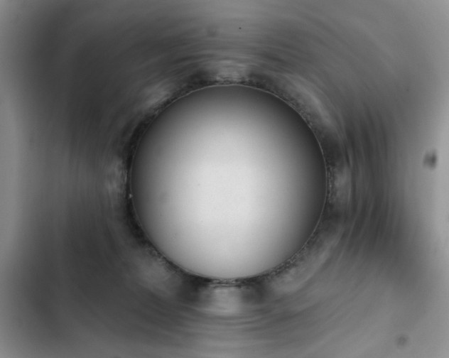 X0000103230228200808281438