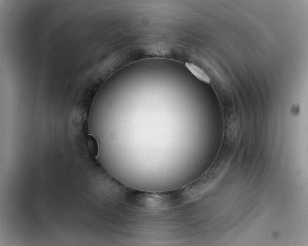 X0000103230229200808281438