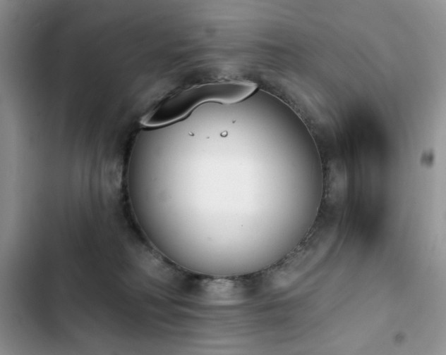 X0000103230230200808281438