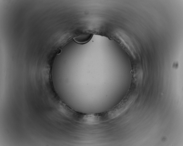 X0000103230231200808281438