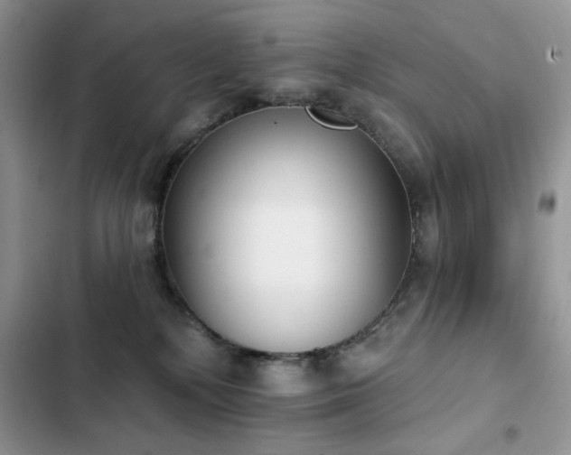 X0000103230232200808281438