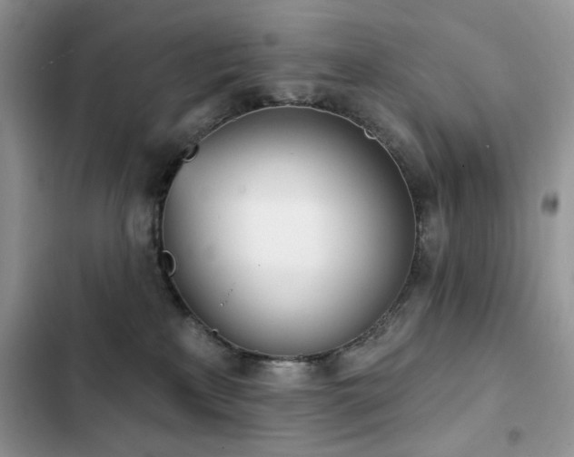 X0000103230233200808281438
