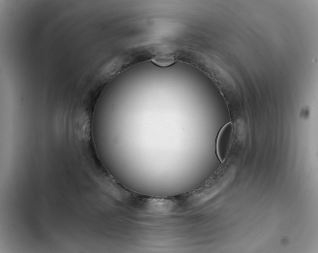 X0000103230234200808281438