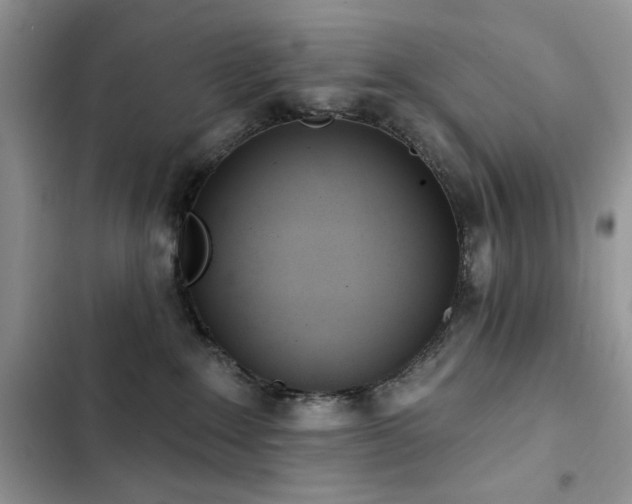 X0000103230235200808281438