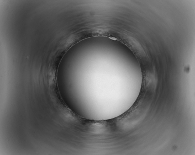 X0000103230236200808281438