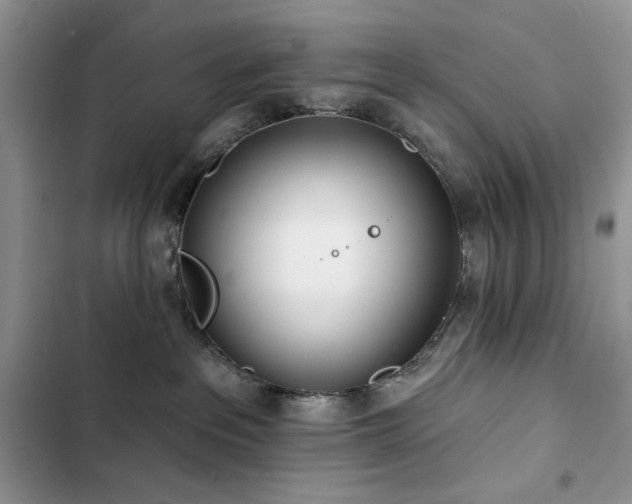 X0000103230237200808281438