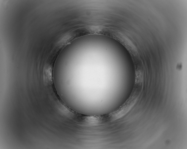 X0000103230238200808281438