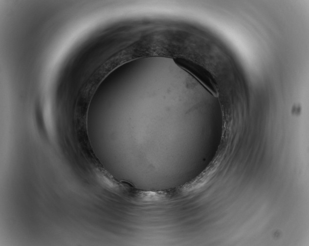 X0000103230239200808281438