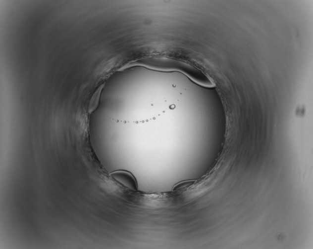 X0000103230240200808281438