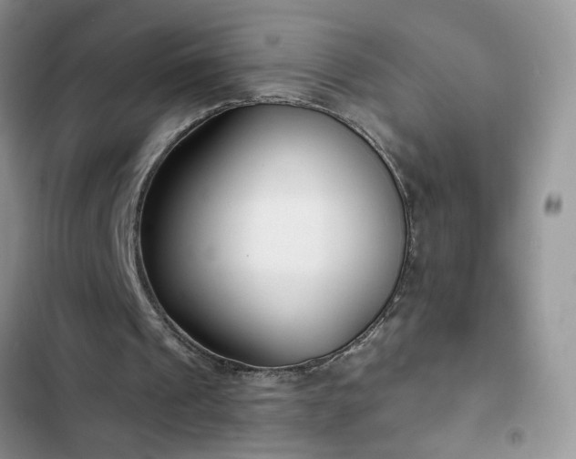 X0000103230241200808281437