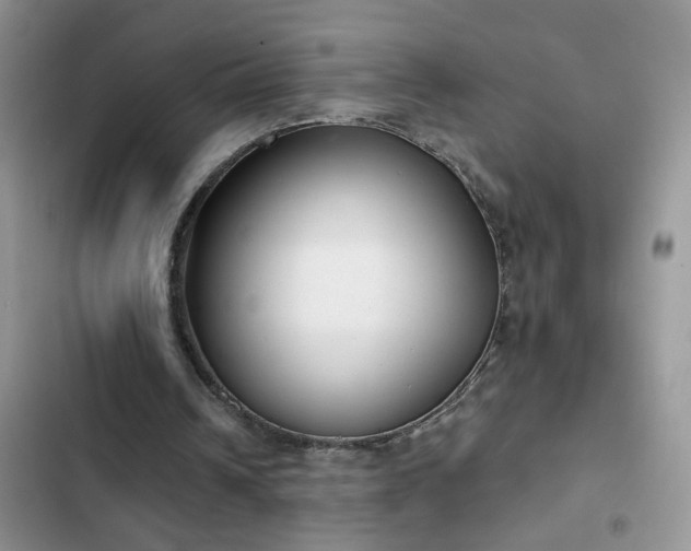 X0000103230242200808281437