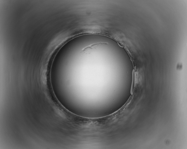 X0000103230243200808281437