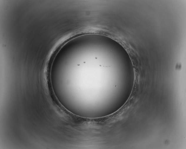 X0000103230244200808281437