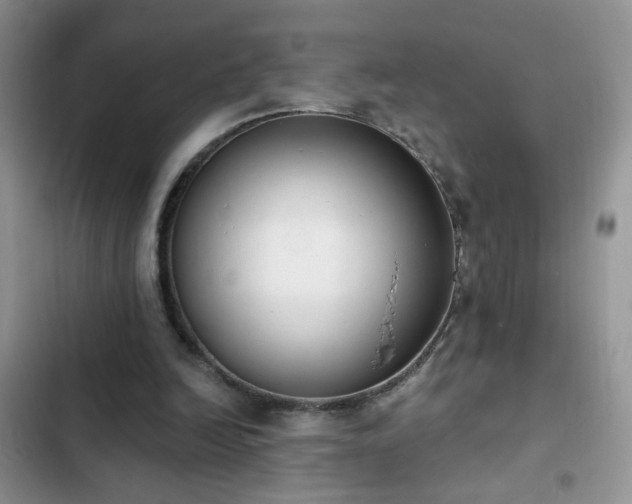 X0000103230246200808281437