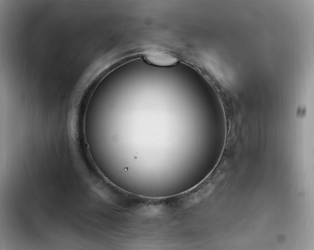 X0000103230247200808281437